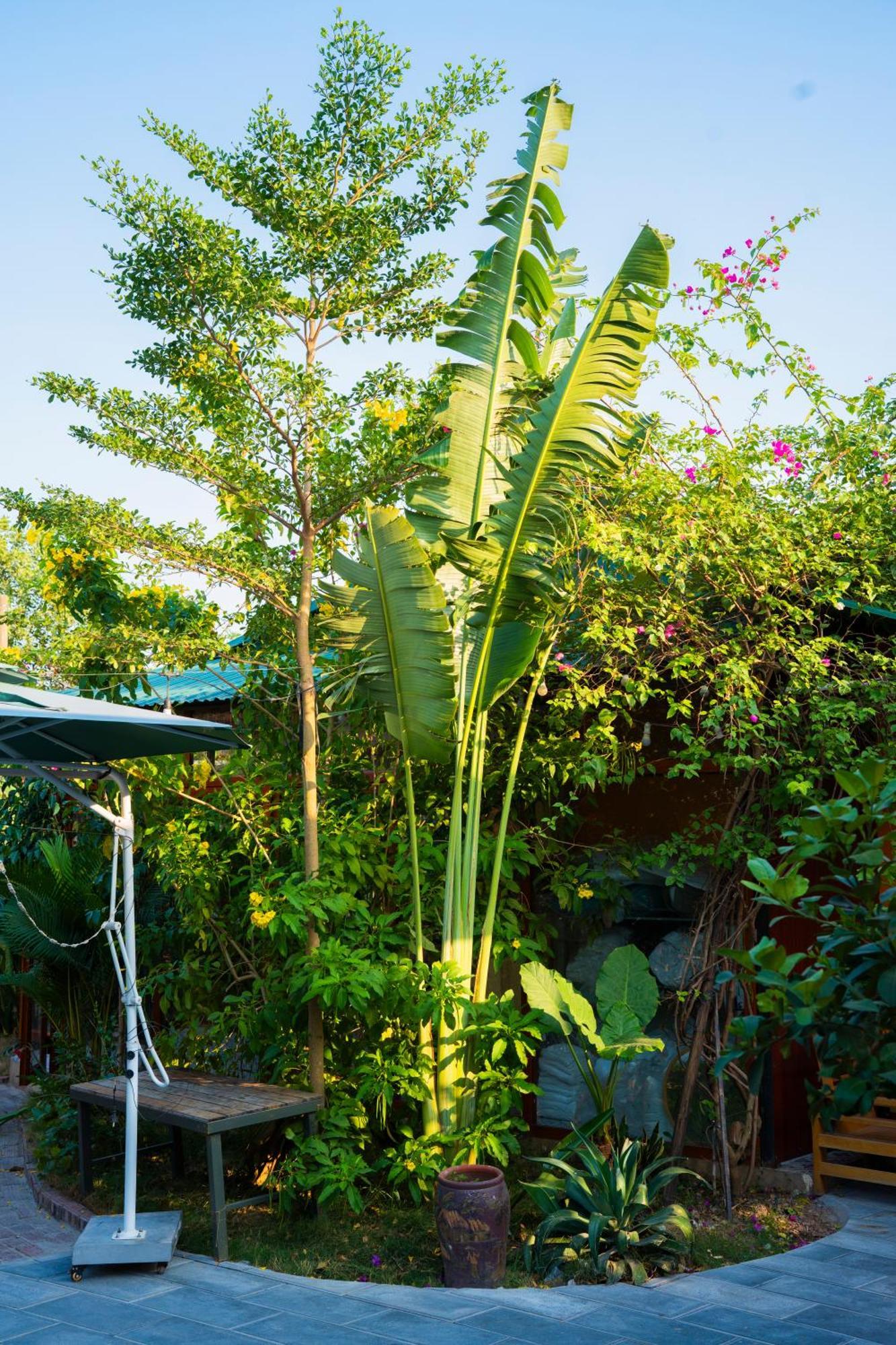 Hotel Rosa Garden à Ninh Bình Extérieur photo